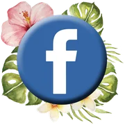 Ethereal Sphynx Cattery on Facebook