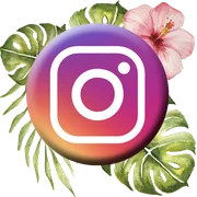 Ethereal Sphynx Cattery on Instagram